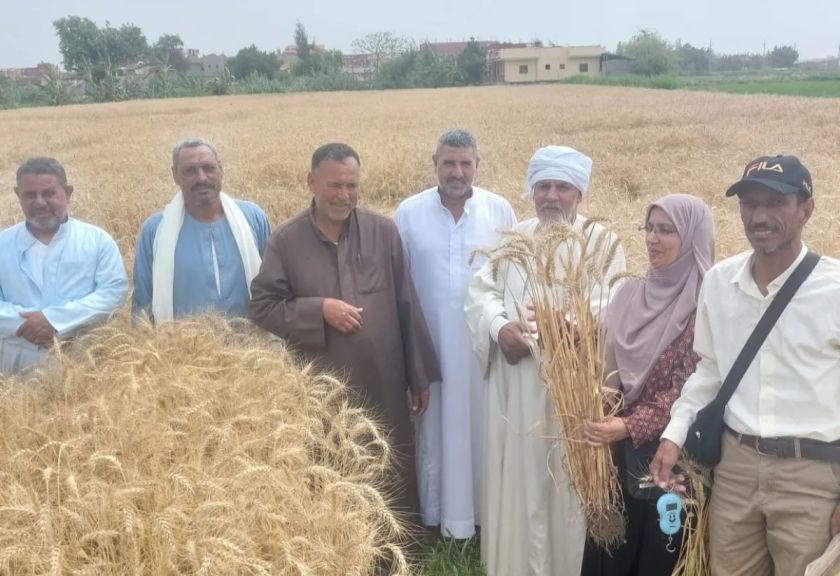 ”الزراعه” تستعرض الجهود المركزيه بمكافحه الافات خلال النصف الاول من مايو .. gt;gt;متابعه الزراعات لحمايتها من البادرات .. ودورات تدريبيه لصقل المهارات وتوعيه الفلاحين والمراه الريفيه
