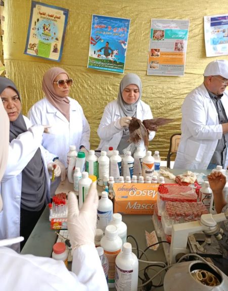 الزراعه تطلق 9 قوافل بيطريه علاجيه مجانيه في ٥  محافظات  gt;gt;”الخدمات البيطريه” تقدم خدمات الفحص والعلاج المجاني الاكثر من 19 رأس ماشيه 3000 طائر