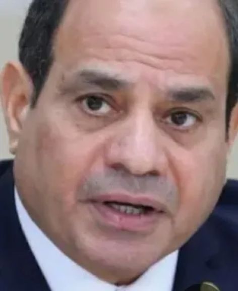 فخامه الرئيس عبد الفتاح السيسي يشهد حفل افتتاح المرحله الاولى من مدينه مستقبل مصر بالصناعات وفعاليات موسم الحصاد بمحور الشيخ زايد محافظه الجيزه