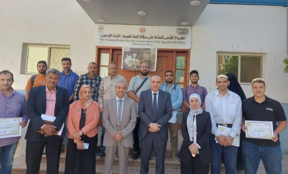 الزراعه  تحتفل باليوم العالمي للنحل .. وقاية النباتات تنظم برنامج تدريبي حول تربية نحل العسل للمبتدئين لتعزيز صناعة النحل في مصر