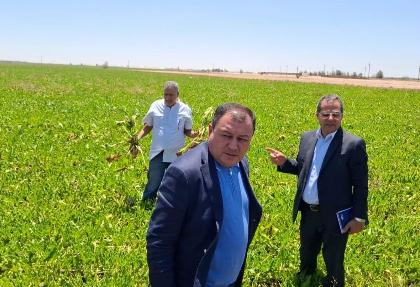 بعد لقاءهم وزير الزراعة لنقل التجارب وتبادل الخبرات في إطار التعاون المشترك  الوفد الحكومي الاوزبكي يتفقد بعض المشروعات الزراعية والبحثية في مصر
