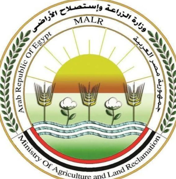 الزراعة تنفي بيع المبنى القديم للوزارة لمستثمر خليجى