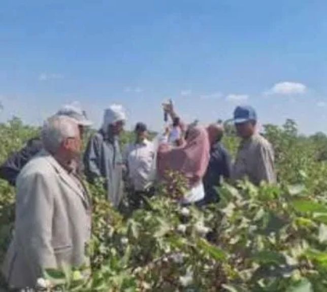 ”الزراعة” تنفذ  470 نشاطا إرشاديا وندوة بحضور أكثر من 7000 مزارع