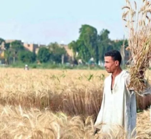 gt;gt;«البطران»: التسويق العادل يزيد من إنتاجية المحاصيل ويقلل من استنزاف العملات الأجنبية في الاستيراد