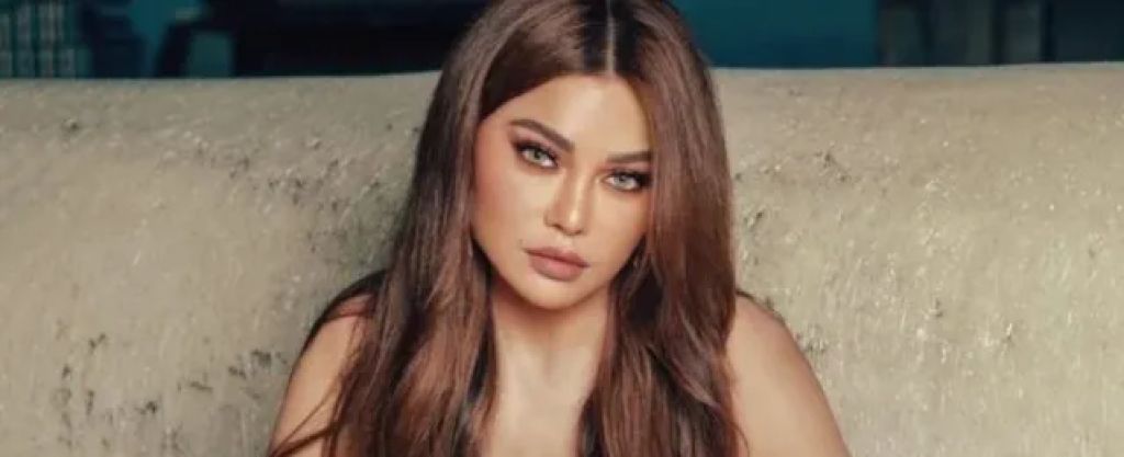 هيفاء وهبي تتسلّم قرار جديداً من ”الموسيقيين” في مصر