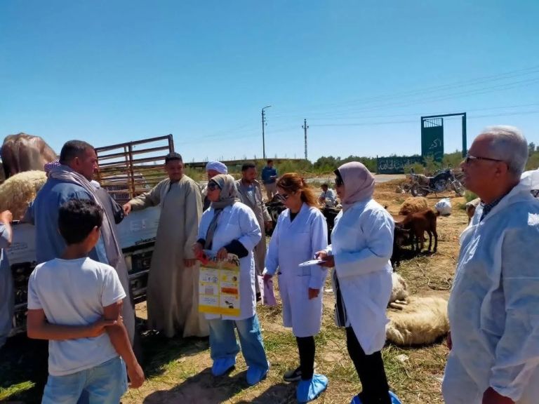 ”الزراعة” تنفذ أكثر من 7200 ندوة إرشادية بيطرية خلال أبريل لدعم صحة الحيوان والوقاية من الأمراض