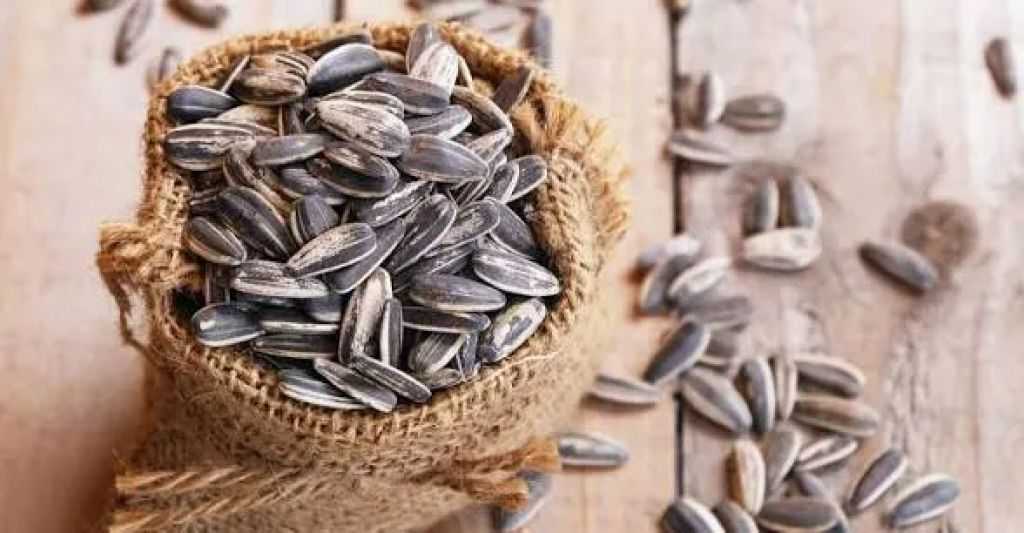 ما فوائد لب عين الشمس في التخسيس