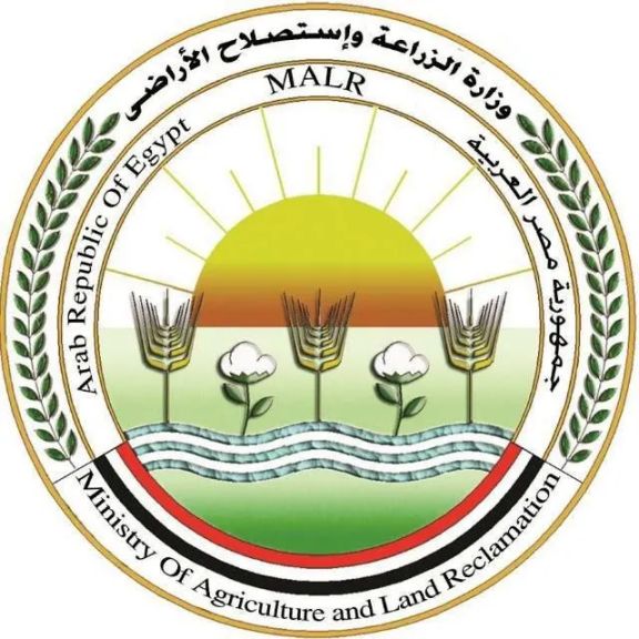 قامت وزارة الزراعة واستصلاح الأراضي بضبط كميات من تقاوي السورجم المقلد بالفيوم