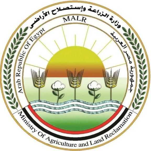 قامت وزارة الزراعة واستصلاح الأراضي بضبط كميات من تقاوي السورجم المقلد بالفيوم