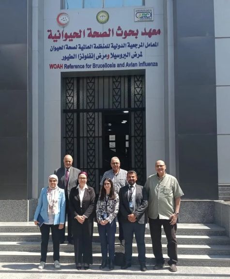 ”بحوث الصحة الحيوانية” يستقبل وفدًا من وزارة الزراعة الأمريكية لتعزيز التعاون العلمي المشترك